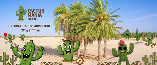 Cactus Mania blog banner featuring a desert landscape with sand dunes, palm trees, and fun cartoon cactus characters. One central cactus character has a cowboy hat and a compass, while other characters are cheerful and wear accessories such as sunglasses.