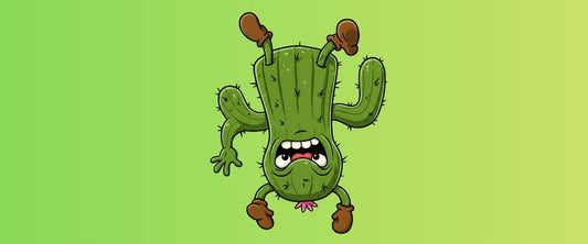 Turn Heads with the Shocked Cactus Statement Piece