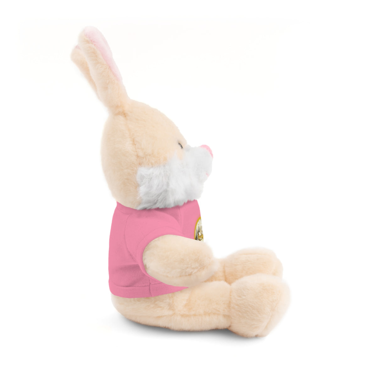 Copy of Stuffed Animals with Tee