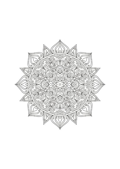Sacred Geometry: 23 Intricate Mandalas – Digital Coloring Sanctuary for Adults (17+)